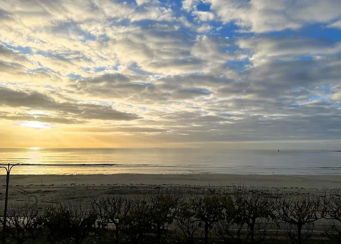 Family Cocoon On The Seafront